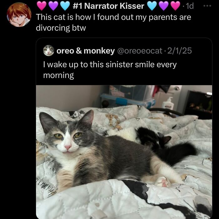 63 Memes That Need Absolutely Zero Context To Be Funny 63 Memes That Need Absolutely Zero Context To Be Funny