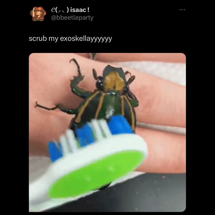 63 Memes That Need Absolutely Zero Context To Be Funny 63 Memes That Need Absolutely Zero Context To Be Funny