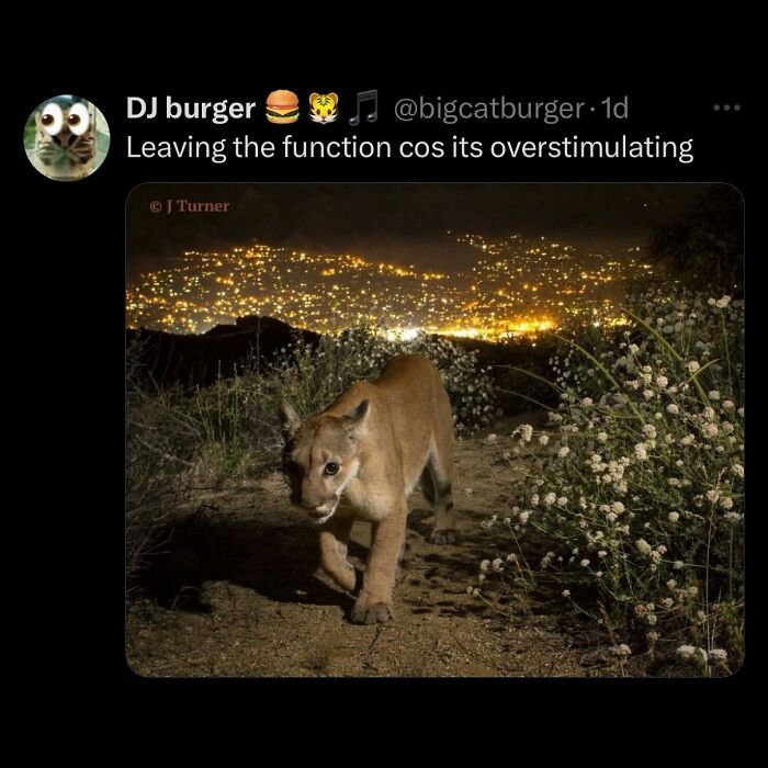 63 Memes That Need Absolutely Zero Context To Be Funny 63 Memes That Need Absolutely Zero Context To Be Funny