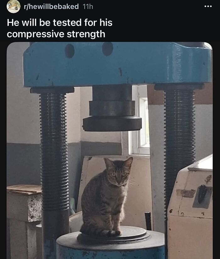 63 Memes That Need Absolutely Zero Context To Be Funny 63 Memes That Need Absolutely Zero Context To Be Funny