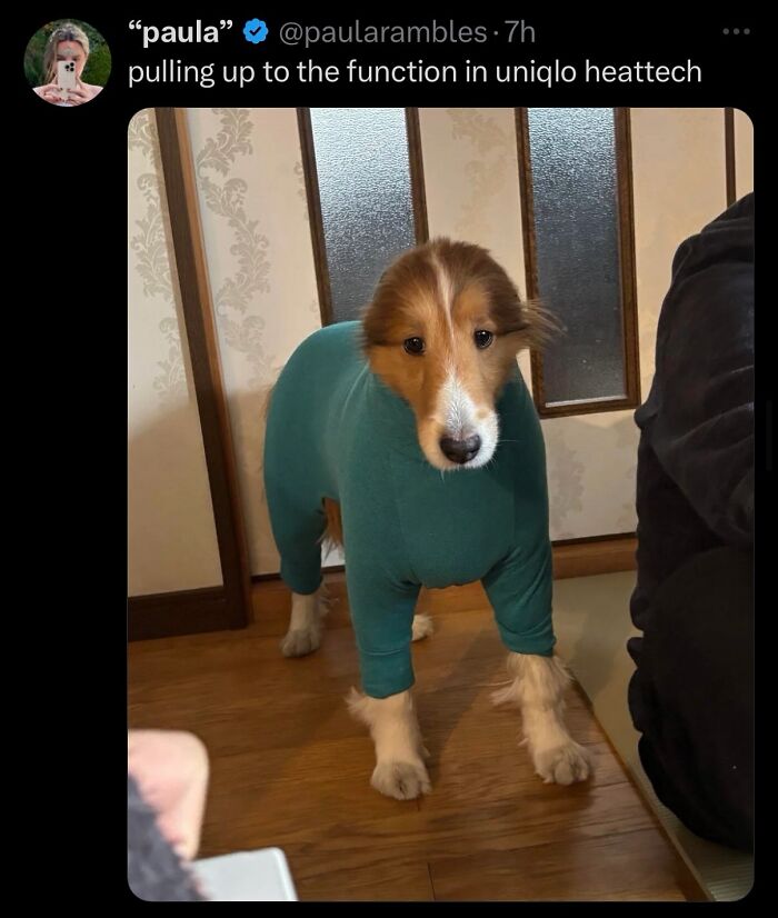 63 Memes That Need Absolutely Zero Context To Be Funny 63 Memes That Need Absolutely Zero Context To Be Funny