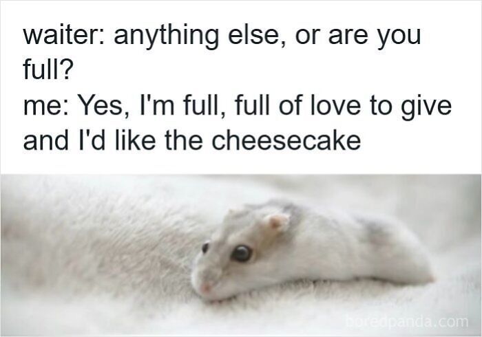63 Memes That Need Absolutely Zero Context To Be Funny 63 Memes That Need Absolutely Zero Context To Be Funny