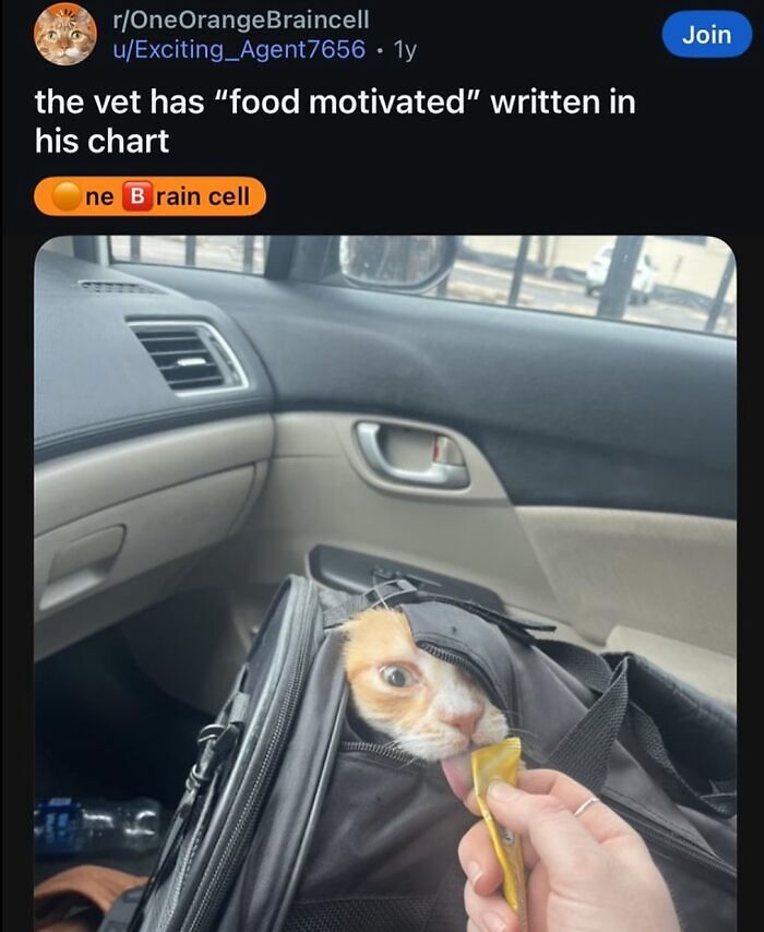 63 Memes That Need Absolutely Zero Context To Be Funny 63 Memes That Need Absolutely Zero Context To Be Funny