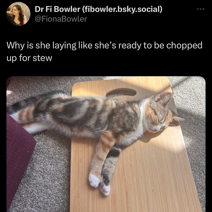 63 Memes That Need Absolutely Zero Context To Be Funny 63 Memes That Need Absolutely Zero Context To Be Funny