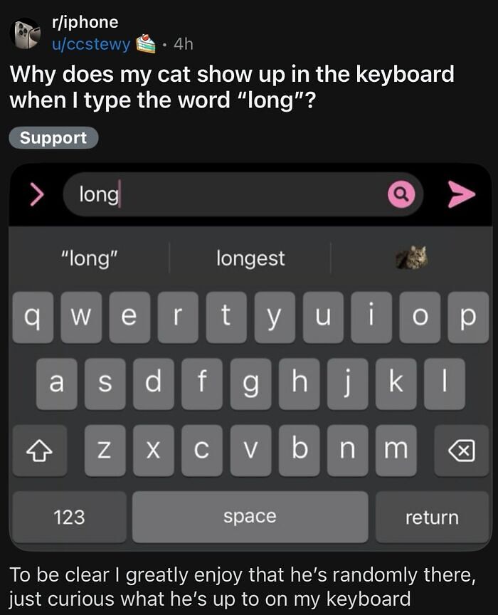 63 Memes That Need Absolutely Zero Context To Be Funny 63 Memes That Need Absolutely Zero Context To Be Funny