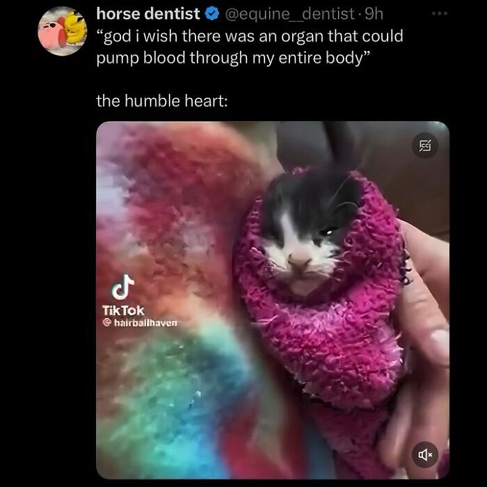 63 Memes That Need Absolutely Zero Context To Be Funny 63 Memes That Need Absolutely Zero Context To Be Funny