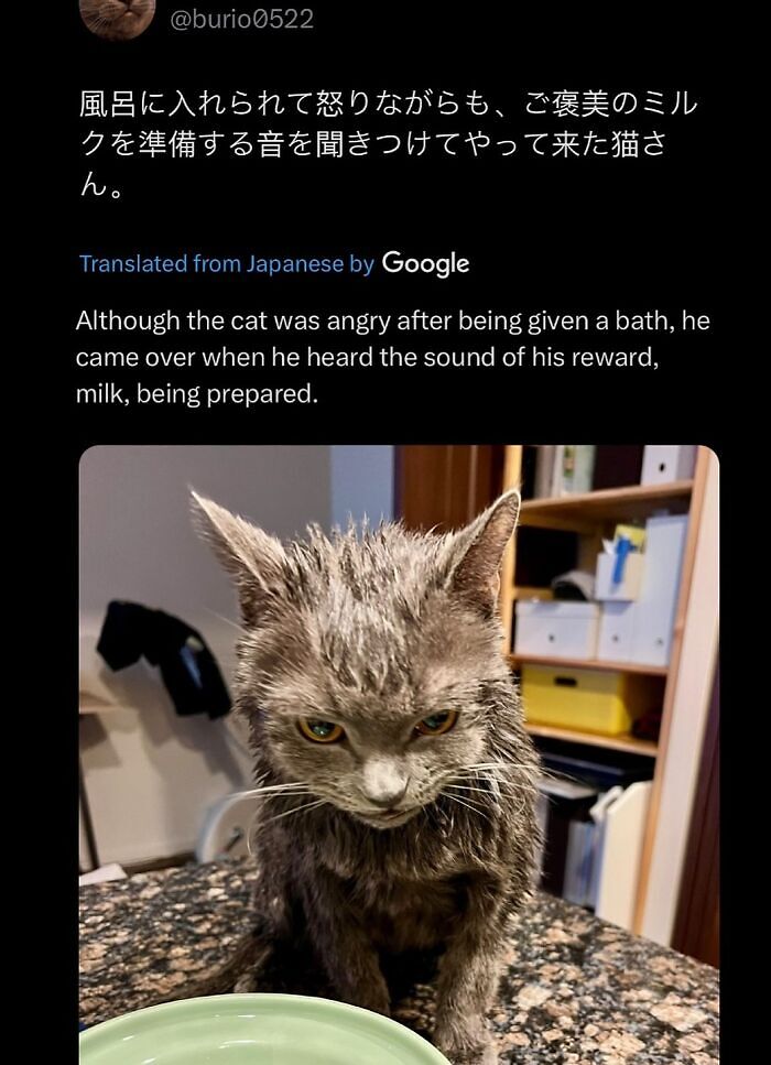 63 Memes That Need Absolutely Zero Context To Be Funny 63 Memes That Need Absolutely Zero Context To Be Funny