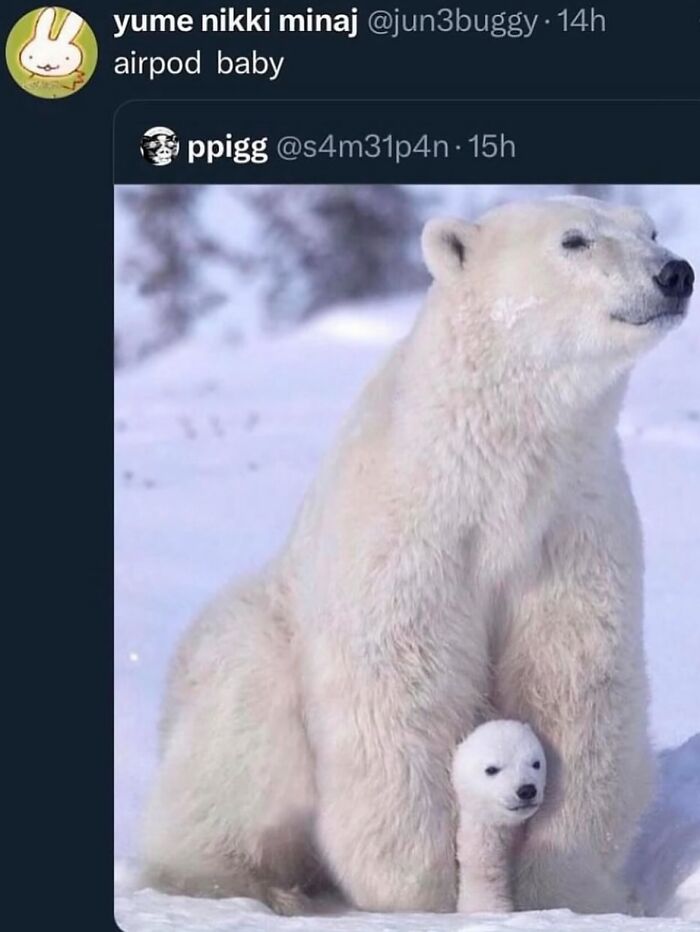 63 Memes That Need Absolutely Zero Context To Be Funny 63 Memes That Need Absolutely Zero Context To Be Funny