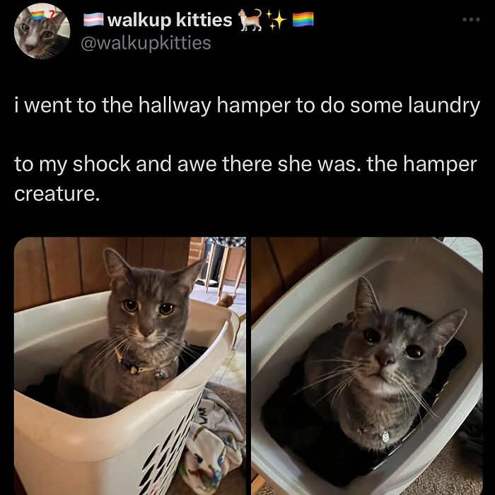 63 Memes That Need Absolutely Zero Context To Be Funny 63 Memes That Need Absolutely Zero Context To Be Funny