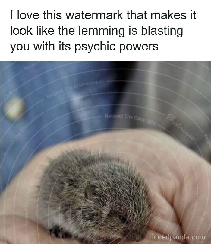 63 Memes That Need Absolutely Zero Context To Be Funny 63 Memes That Need Absolutely Zero Context To Be Funny