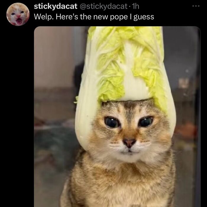 63 Memes That Need Absolutely Zero Context To Be Funny 63 Memes That Need Absolutely Zero Context To Be Funny