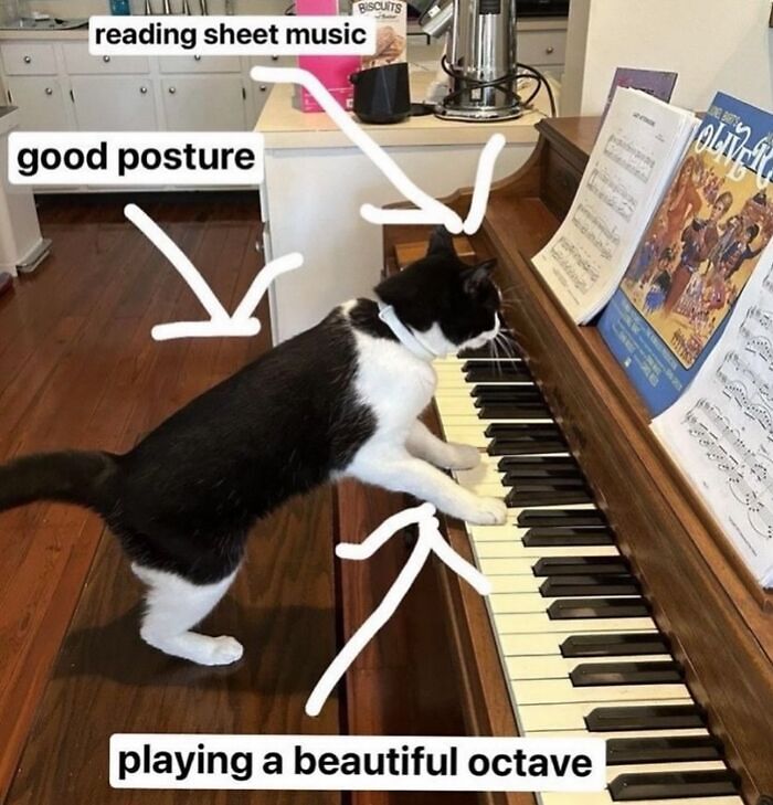 63 Memes That Need Absolutely Zero Context To Be Funny 63 Memes That Need Absolutely Zero Context To Be Funny
