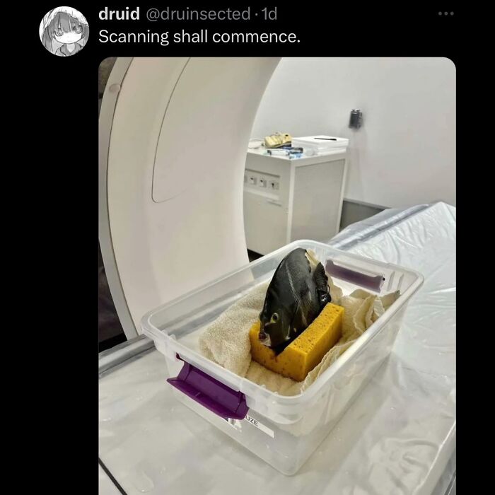 63 Memes That Need Absolutely Zero Context To Be Funny 63 Memes That Need Absolutely Zero Context To Be Funny