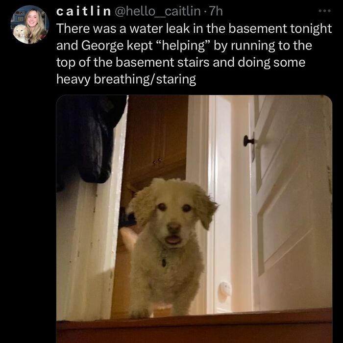 63 Memes That Need Absolutely Zero Context To Be Funny 63 Memes That Need Absolutely Zero Context To Be Funny