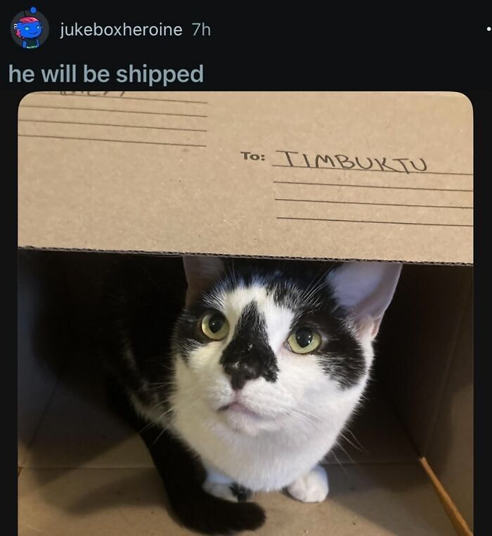 63 Memes That Need Absolutely Zero Context To Be Funny 63 Memes That Need Absolutely Zero Context To Be Funny
