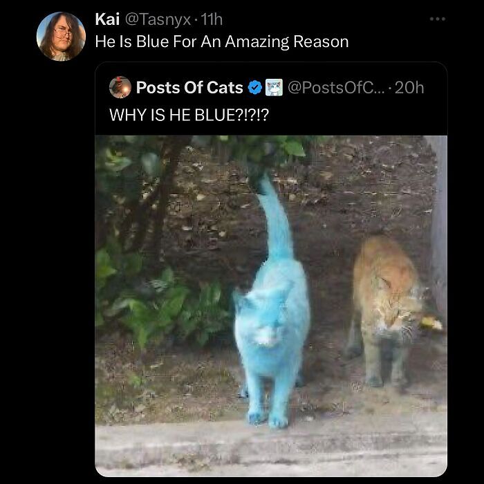 63 Memes That Need Absolutely Zero Context To Be Funny 63 Memes That Need Absolutely Zero Context To Be Funny
