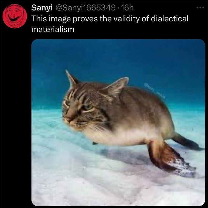 63 Memes That Need Absolutely Zero Context To Be Funny 63 Memes That Need Absolutely Zero Context To Be Funny