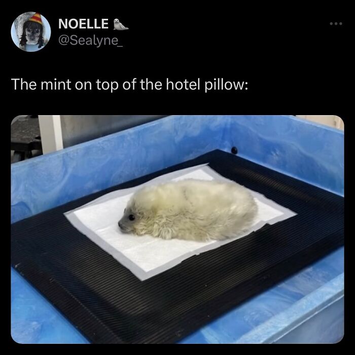 63 Memes That Need Absolutely Zero Context To Be Funny 63 Memes That Need Absolutely Zero Context To Be Funny