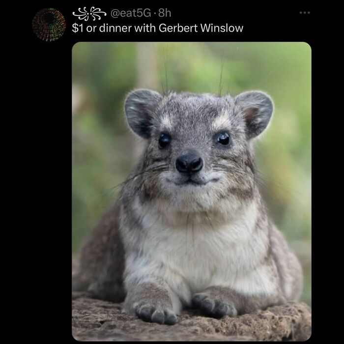 63 Memes That Need Absolutely Zero Context To Be Funny 63 Memes That Need Absolutely Zero Context To Be Funny