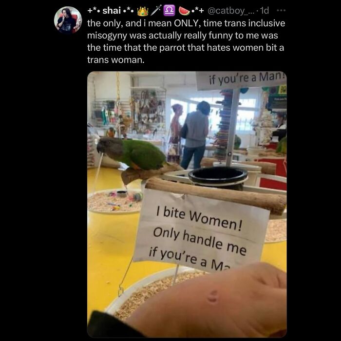 63 Memes That Need Absolutely Zero Context To Be Funny 63 Memes That Need Absolutely Zero Context To Be Funny