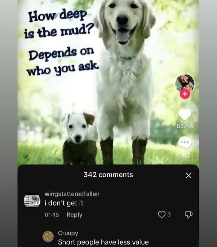 63 Memes That Need Absolutely Zero Context To Be Funny 63 Memes That Need Absolutely Zero Context To Be Funny