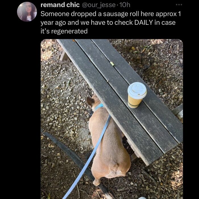 63 Memes That Need Absolutely Zero Context To Be Funny 63 Memes That Need Absolutely Zero Context To Be Funny