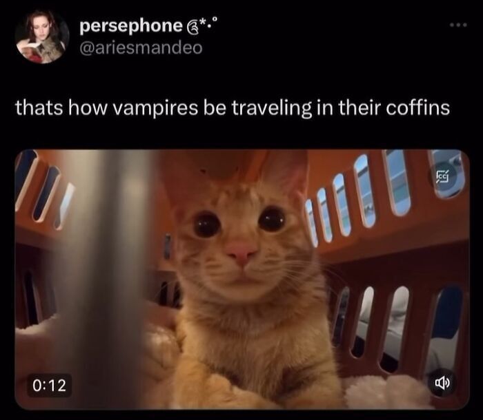 63 Memes That Need Absolutely Zero Context To Be Funny 63 Memes That Need Absolutely Zero Context To Be Funny