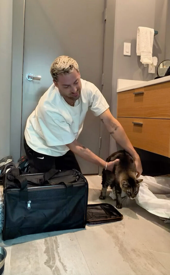 “He Was Just Scared&rdquo;: Man Adopts A Shy Senior Cat Who Spent 12 Years Waiting In A Shelter