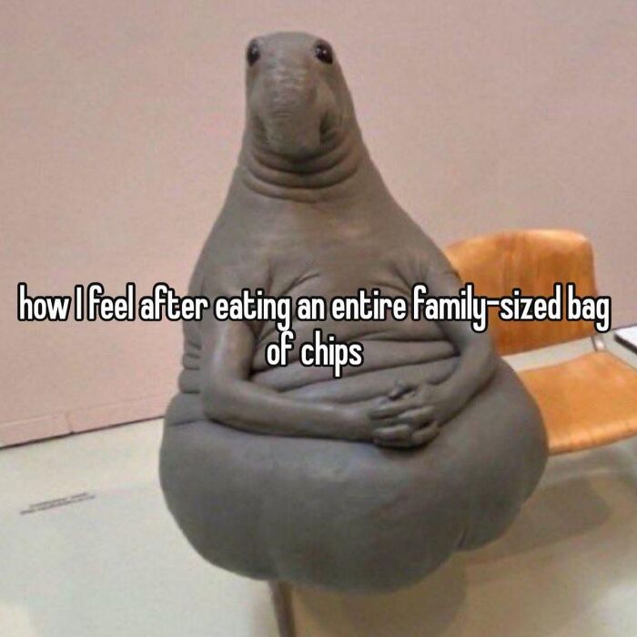 53 Hilarious And Relatable Food Memes That Are Absolutely Well Done
