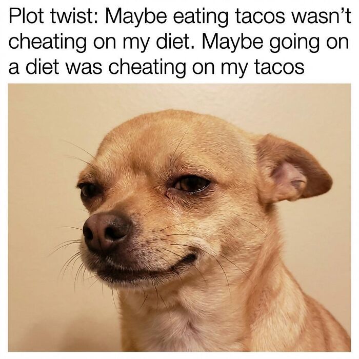 53 Hilarious And Relatable Food Memes That Are Absolutely Well Done