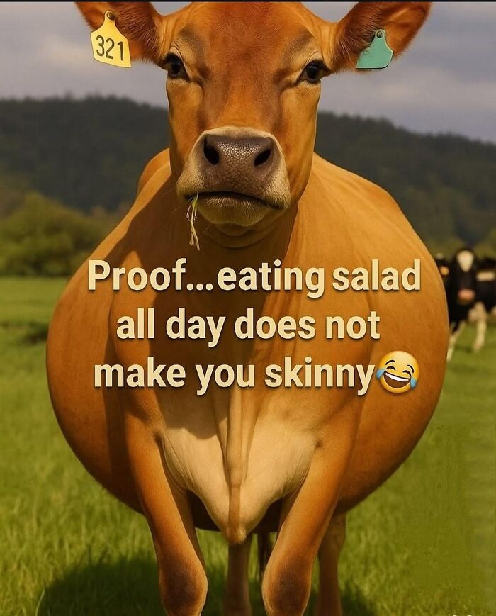 53 Hilarious And Relatable Food Memes That Are Absolutely Well Done