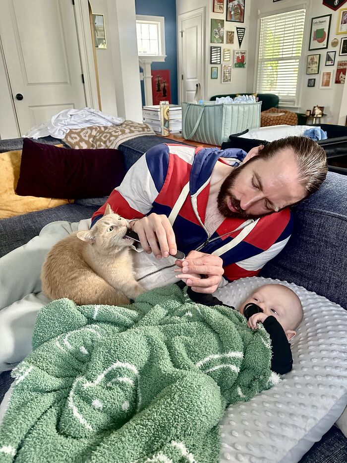 45 Adorable Pics Of Pets Helping Raise Newborns, Shared In This Threads Discussion