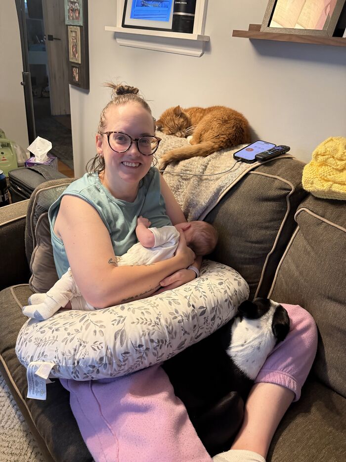 45 Adorable Pics Of Pets Helping Raise Newborns, Shared In This Threads Discussion
