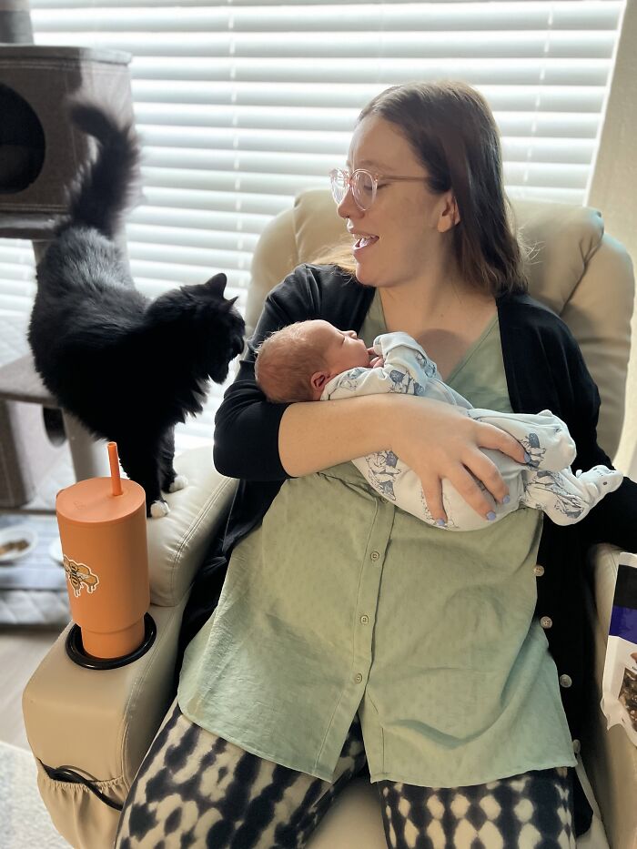 45 Adorable Pics Of Pets Helping Raise Newborns, Shared In This Threads Discussion