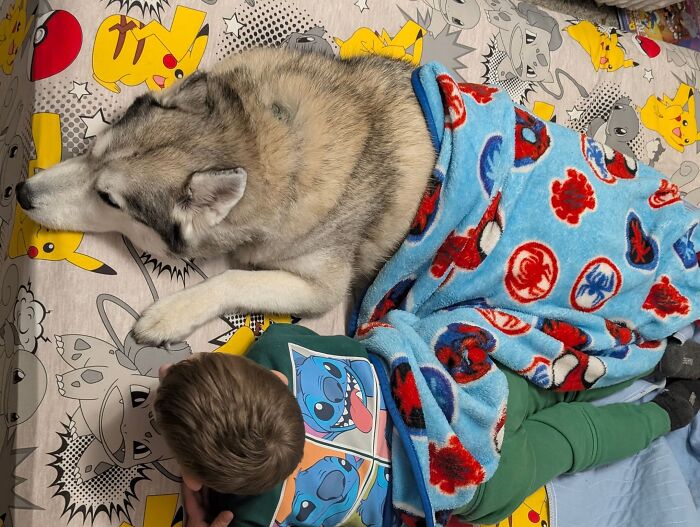 45 Adorable Pics Of Pets Helping Raise Newborns, Shared In This Threads Discussion