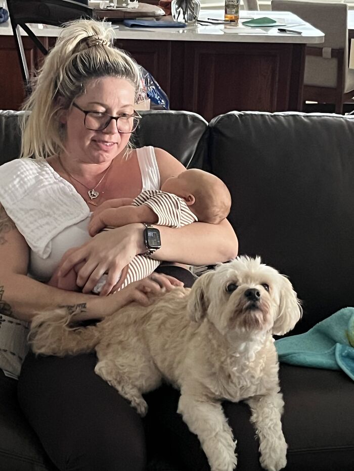 45 Adorable Pics Of Pets Helping Raise Newborns, Shared In This Threads Discussion