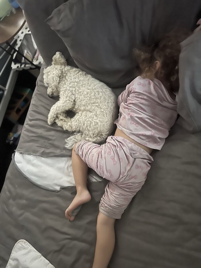 45 Adorable Pics Of Pets Helping Raise Newborns, Shared In This Threads Discussion