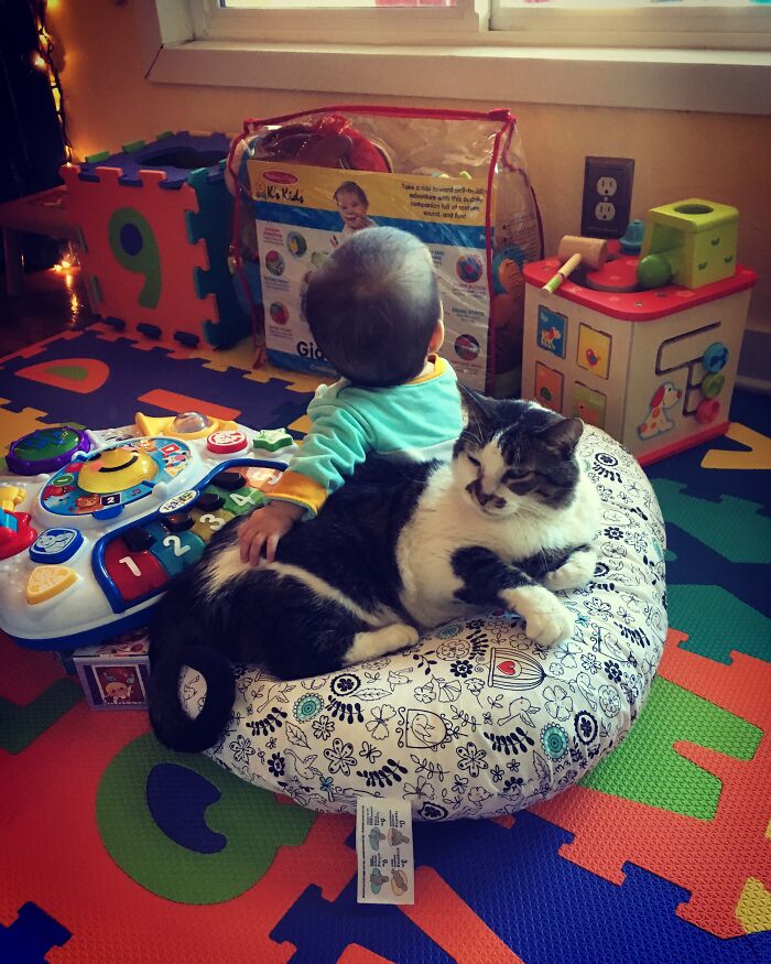 45 Adorable Pics Of Pets Helping Raise Newborns, Shared In This Threads Discussion