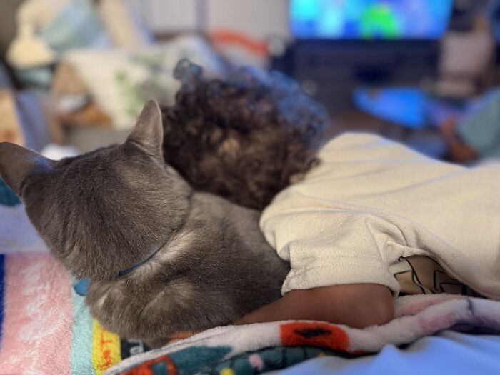 45 Adorable Pics Of Pets Helping Raise Newborns, Shared In This Threads Discussion