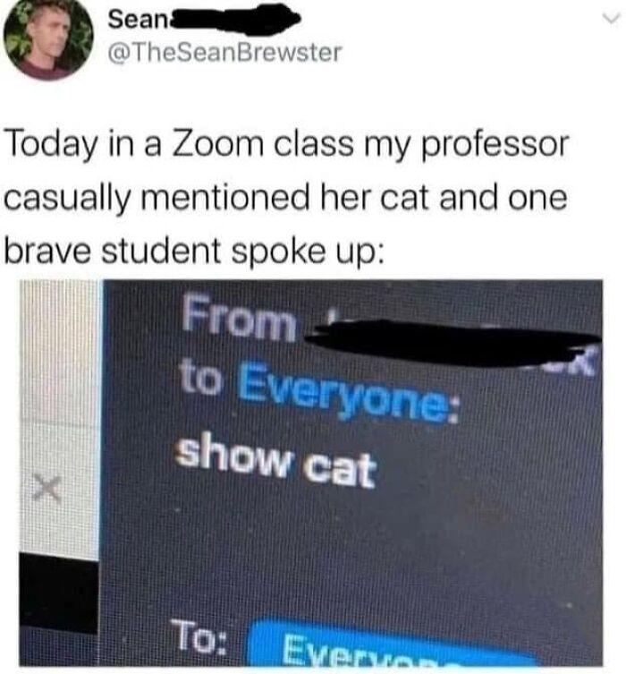 43 Cat Memes Shared By This Page That Prove Our Feline Friends Are The Funniest Creatures