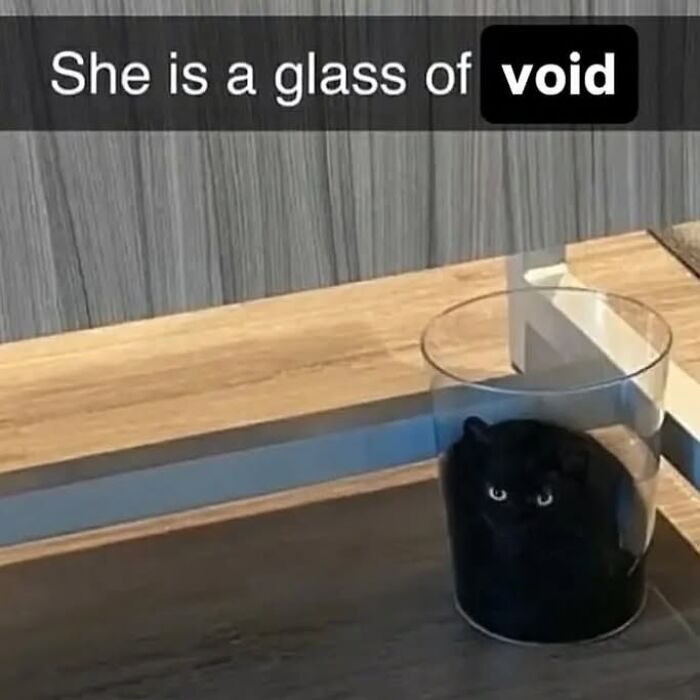 43 Cat Memes Shared By This Page That Prove Our Feline Friends Are The Funniest Creatures