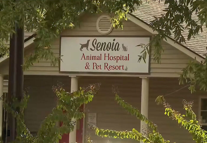 Family Accuses Vet Employee Of Secretly Taking Dog Home After They Paid To Put It To Sleep Family Accuses Vet Employee Of Secretly Taking Dog Home After They Paid To Put It To Sleep