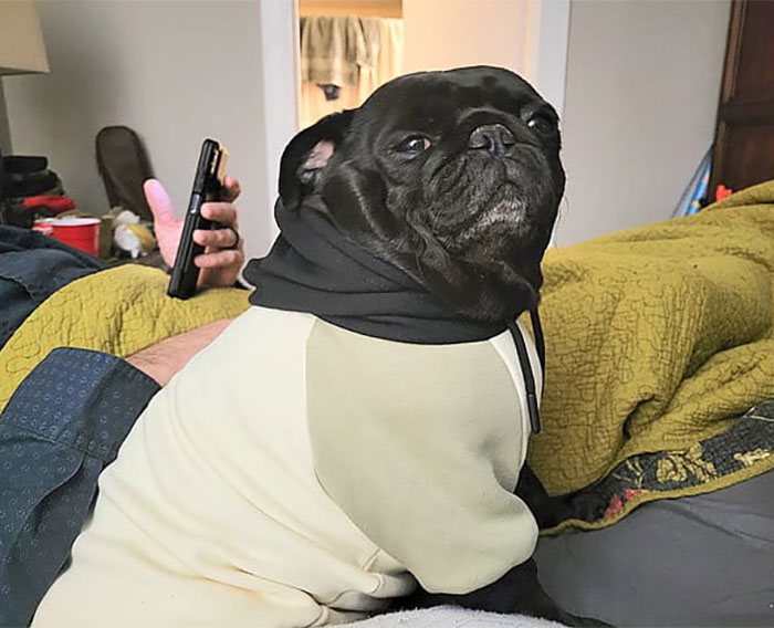 Family Accuses Vet Employee Of Secretly Taking Dog Home After They Paid To Put It To Sleep Family Accuses Vet Employee Of Secretly Taking Dog Home After They Paid To Put It To Sleep
