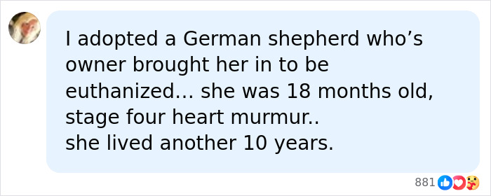 Family Accuses Vet Employee Of Secretly Taking Dog Home After They Paid To Put It To Sleep Family Accuses Vet Employee Of Secretly Taking Dog Home After They Paid To Put It To Sleep