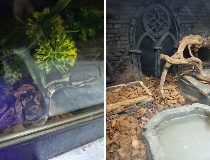 35 Pics Of Spoiled Pets Living Better Than Their Humans, Shared By People On Threads 35 Pics Of Spoiled Pets Living Better Than Their Humans, Shared By People On Threads
