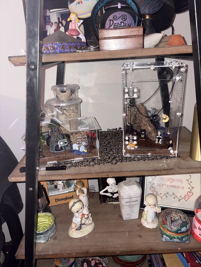 35 Pics Of Spoiled Pets Living Better Than Their Humans, Shared By People On Threads 35 Pics Of Spoiled Pets Living Better Than Their Humans, Shared By People On Threads