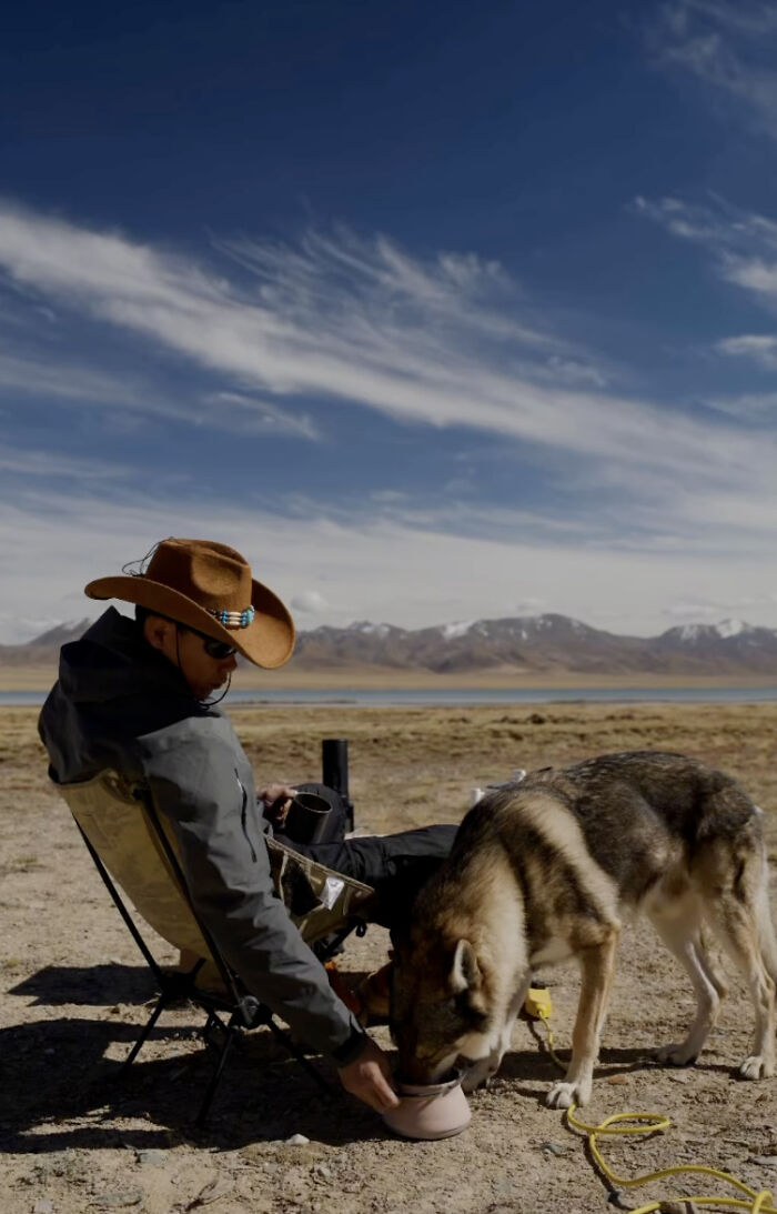 The Wild Adventures Of Zheng And His Wolf Dog Fres Are Winning Hearts Online The Wild Adventures Of Zheng And His Wolf Dog Fres Are Winning Hearts Online