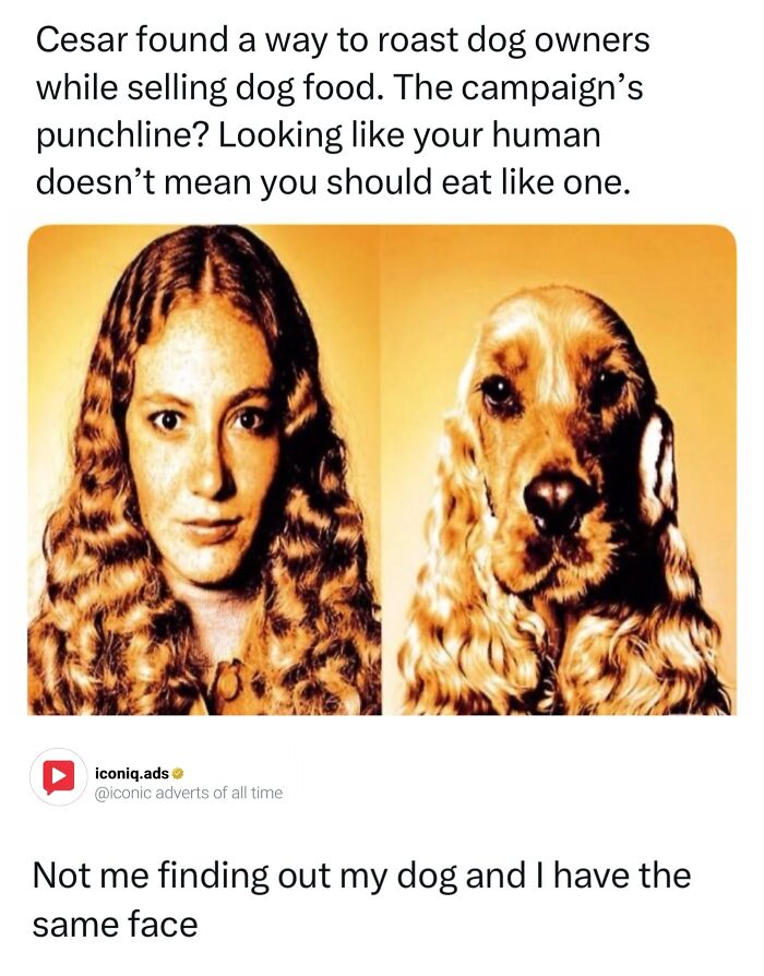 69 Ads So Entertaining And Iconic They Barely Feel Like Advertising