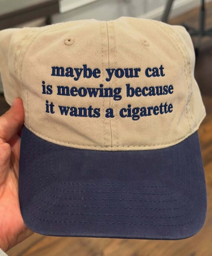 45 Hilarious T-Shirts And Hats With Texts Nobody Expected
