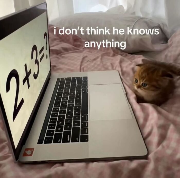66 Absurd Internet Posts That Somehow Get Weirder The Longer You Look